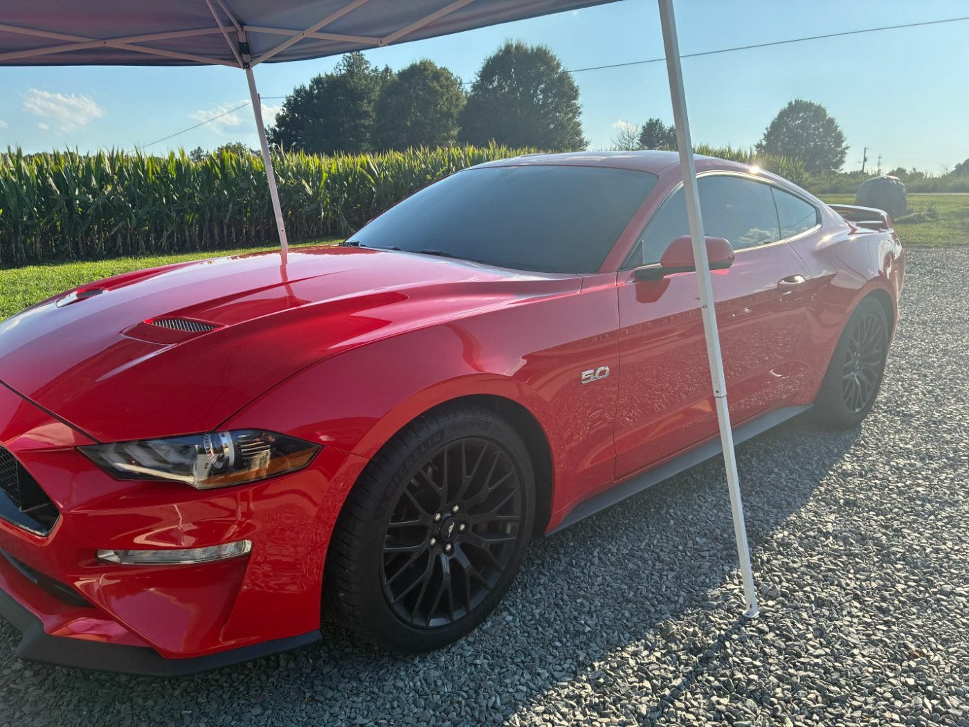 Mustang GT 5.0 — Ceramic · Santa Rosa Co. — window tint by Elite Window Tinting